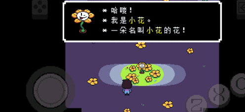 应用截图 2