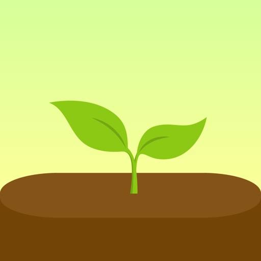 App Image
