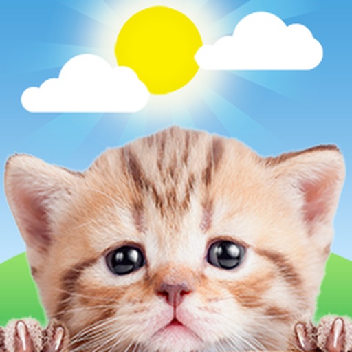 App Image